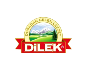 Dilek